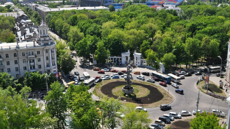 Воронежские общественники предложили сделать пешеходной улицу Мира 