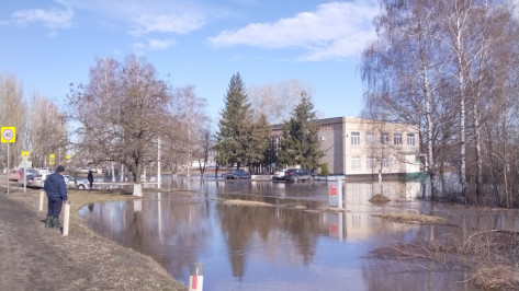 Детсад и школа в воронежском поселке Большие Базы приостановили работу из-за подтопления