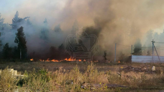 Пожар в селе Ямное под Воронежем попал на видео