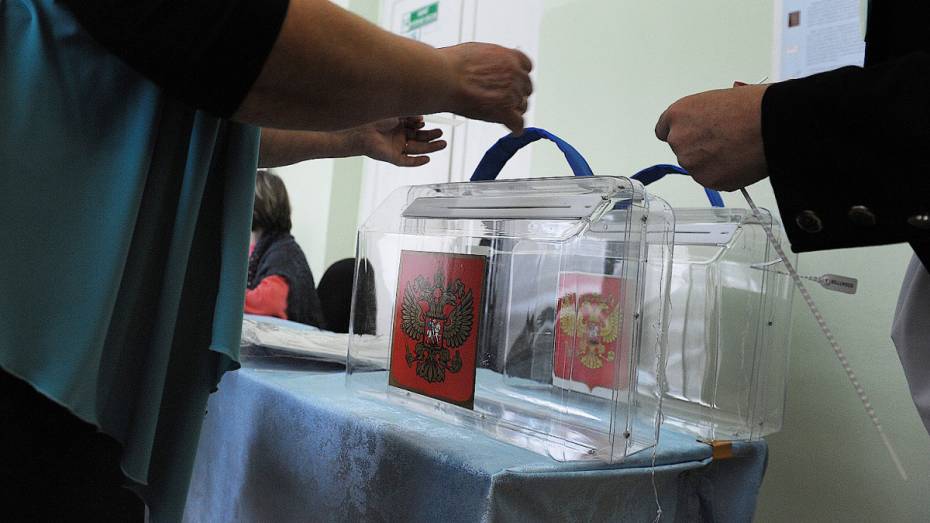 В 3 районах Воронежской области перенесли выборы