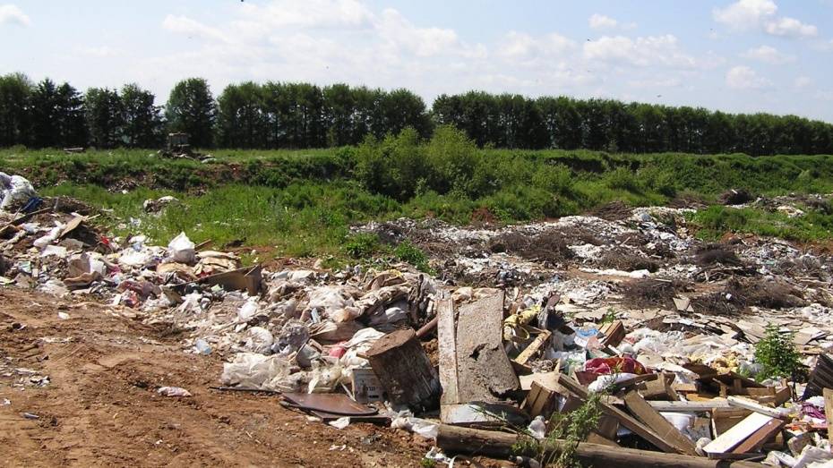 ФАС отменила аукционы на строительство 3 мусоросортировочных комплексов в Воронежской области