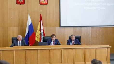 Воронежские депутаты внесли изменения в ряд региональных законов