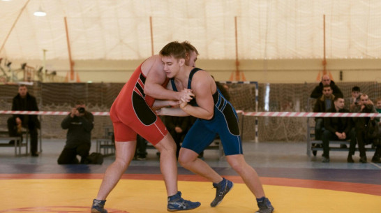 Всероссийский турнир по греко-римской борьбе пройдет в Воронеже 19 сентября