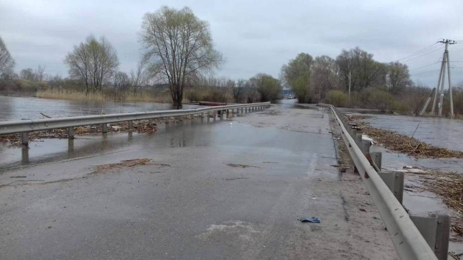 Уровень воды в реке Воронеж в Рамонском районе снизился на 8 см