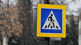 В Воронеже будут судить сбившего насмерть скрипачку водителя автобуса