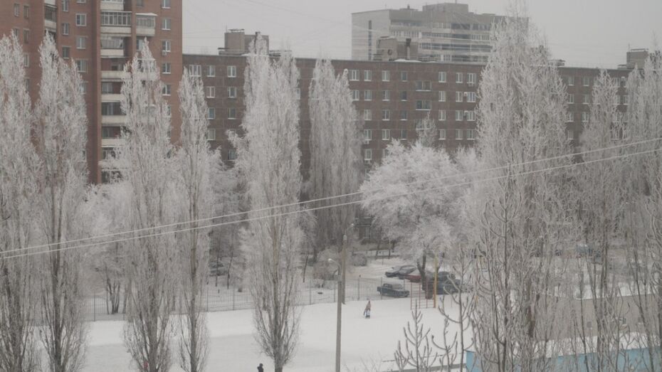 Морозы накроют Воронеж постепенно