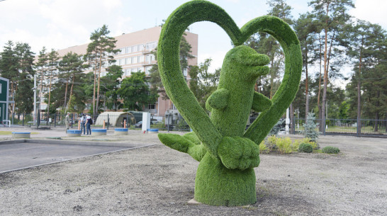 «По последнему слову техники». В Воронеже открылась быстровозводимая больница с дельфином-топиаром