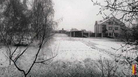 Воронежскую область накрыло снегом в начале апреля