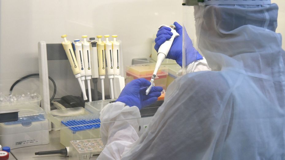 В России зафиксировали первый случай нового штамма коронавируса «кракен»
