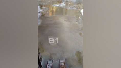 В Воронеже из-за коммунальной аварии на проспекте Труда двор залило водой