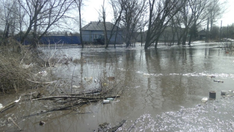 В Репьевском районе талые воды затопили четыре двора