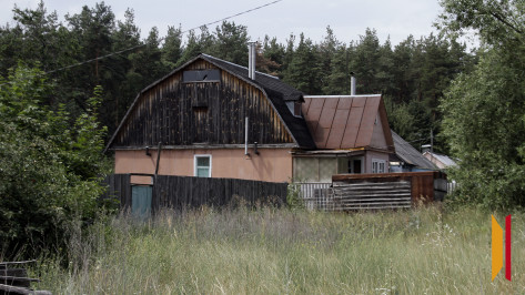 Границы Воронежской области расширятся за счет лесных поселков