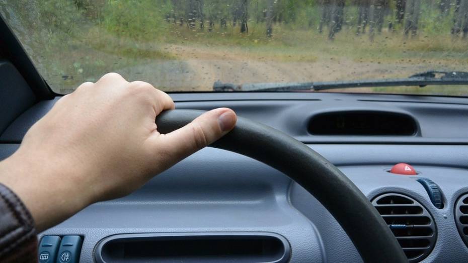 Житель Аннинского района ответит в суде за угон автомобиля
