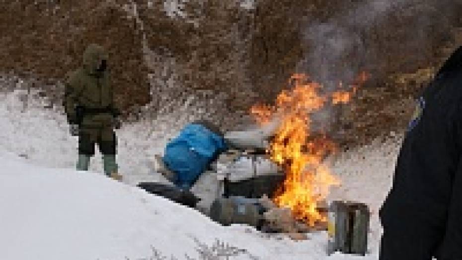 Воронежские наркополицейские сожгли 20 кг наркотиков