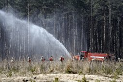 Прокуроры нашли в воронежском Лесхозе многочисленные нарушения охраны от пожаров