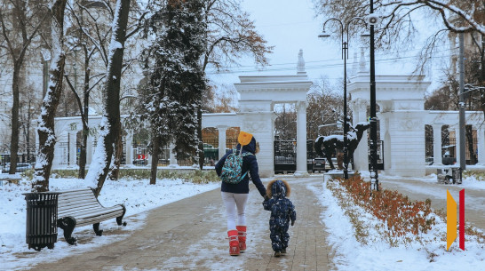 Воронежцев ждут морозные и снежные выходные
