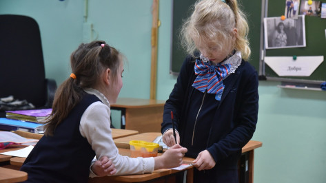 Уроки труда станут обязательными в школах Воронежа