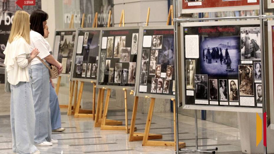 «За каждым снимком – человеческая жизнь»: в Воронеже открылась фотовыставка «Цыгане в битве за Родину»