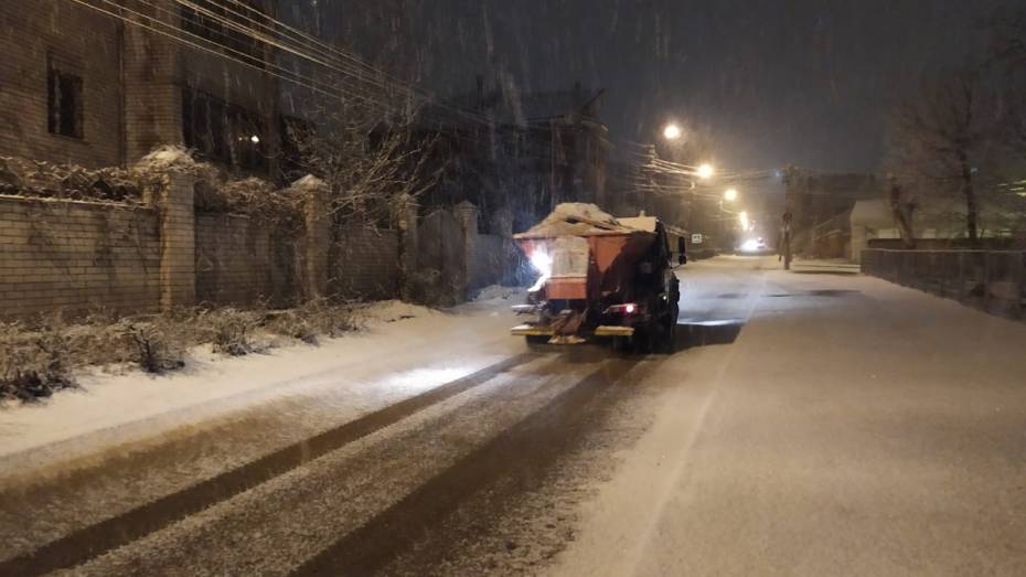 Гидрометцентр: выпавший за ночь в Воронеже снег растает к вечеру