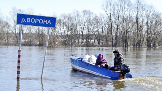 В Грибановском районе открыли переправу через реку Ворона