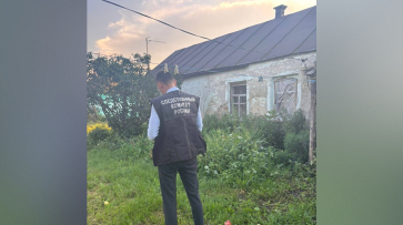 В Воронежской области женщина заступилась за мать и зарезала сожителя