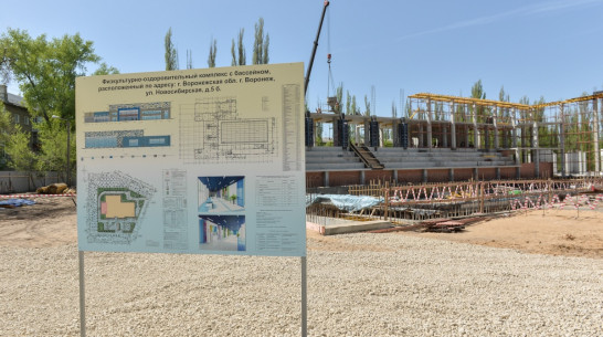 Оздоровительный комплекс с бассейном на левом берегу в Воронеже откроют к сентябрю