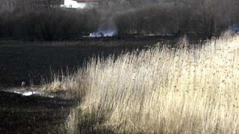 Число районов Воронежской области с максимальным риском возникновения пожаров выросло до 15
