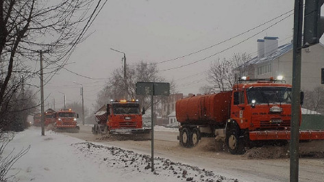 В Воронеже ночью с последствиями снегопада боролись 158 снегоуборочных машин