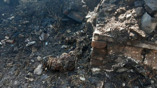 В Калачеевском районе при пожаре в летней кухне погибла 88-летняя женщина