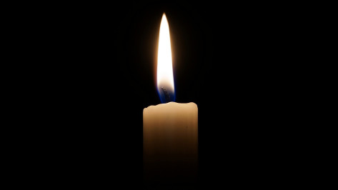 «Молимся и желаем выздоровления пострадавшим». Члены воронежской Нацпалаты выразили соболезнования в связи с трагедией в «Крокус Сити Холле»