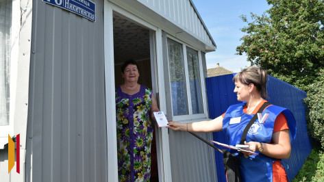 ВЫБОРЫ-2025: как в районах Воронежской области проходит подомовый обход избирателей