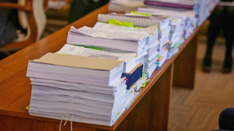 Воронежская область получит 21 млн рублей на развитие информационного общества 