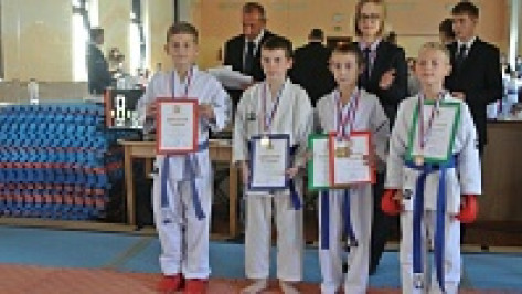 Хохольские спортсмены завоевали девять медалей на областном турнире по каратэ