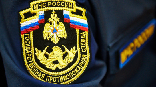 При пожаре в Воронежской области погиб 40-летний мужчина
