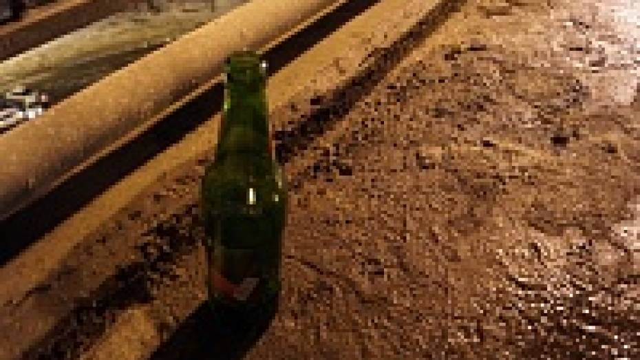 23 февраля в Воронежской области поймали 47 пьяных водителей