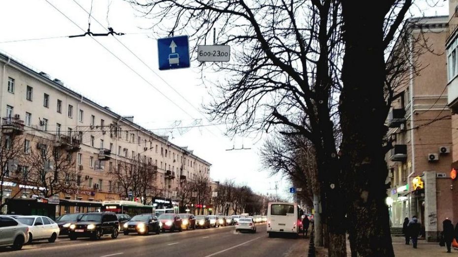 Воронежцам разрешат ночью ездить по выделенным полосам для автобусов