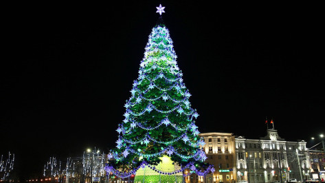 Главная новогодняя елка ненадолго засияла в Воронеже