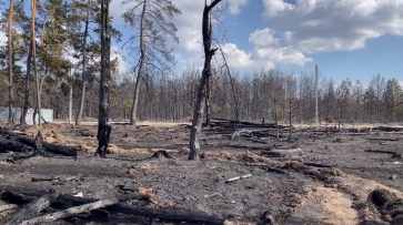 Стала известна причина пожара в Ямном под Воронежем