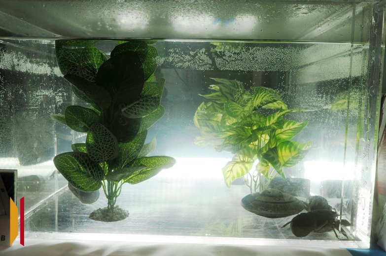 Цифроземье 25 сентября