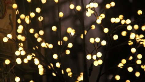 Воронежцам рассказали, какой должна быть безопасная новогодняя гирлянда
