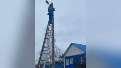 В Скорицком сельском поселении Репьевского района модернизировали уличное освещение