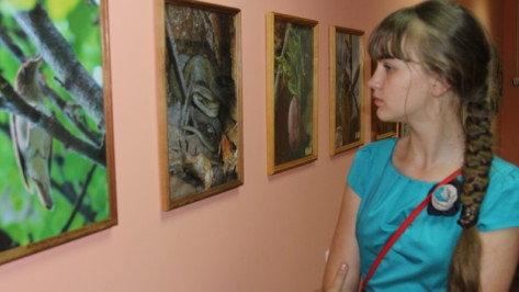 В Новохоперском краеведческом музее открылась выставка  «Зеленый дым»