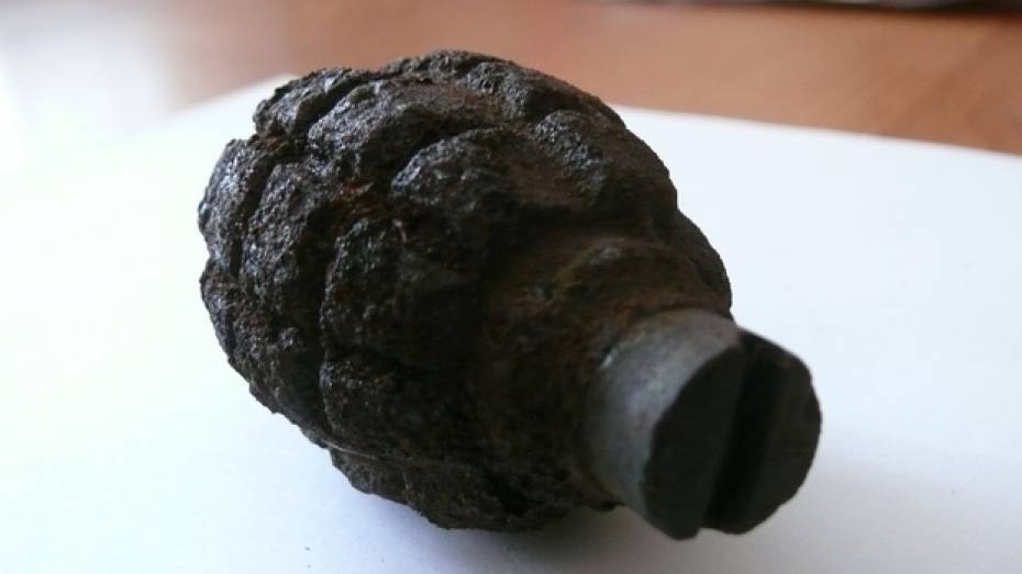 В Воронеже при чистке уличного туалета нашли похожий на гранату предмет