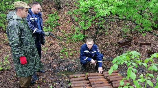 В Подгоренском районе уничтожили 22 боеприпаса времен ВОВ