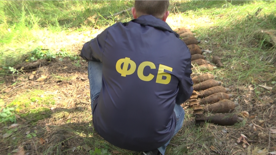 Сотрудники ФСБ нашли блиндаж с боеприпасами рядом с Нововоронежской АЭС
