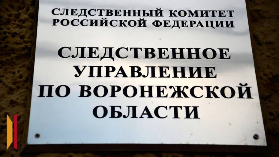 Губернатор Воронежской области поздравил сотрудников Следственного комитета