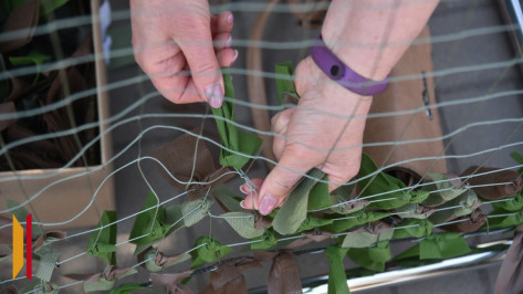 Волонтеры хохольского села Борщево изготовили 640 масксетей