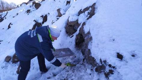 Экологические нарушения выявили на снежных полигонах в Воронеже
