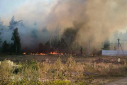 Пожар в селе Ямное под Воронежем попал на видео