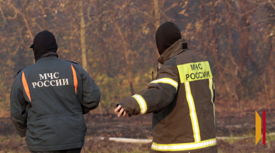 В Воронежской области сохраняется чрезвычайная пожароопасность